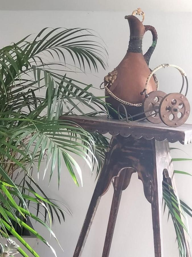 Anura'S Elephant بيروفالا المظهر الخارجي الصورة